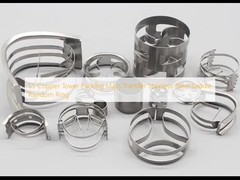 SS Copper Tower Packaging Mass Transfer Stainless Steel Saddle Random Ring (Vòng đai ngẫu nhiên)