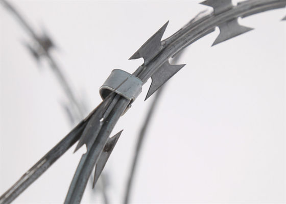 Garden Apartment 50kg Bwg12 Stainless Steel Razor Wire Bto-22