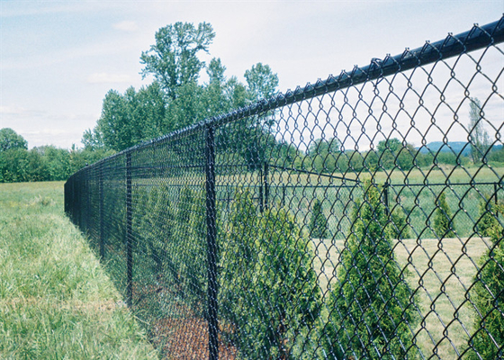 Hàng rào lưới tạm thời mạ kẽm nhúng nóng 9 thước 4.0mm cho trang trại